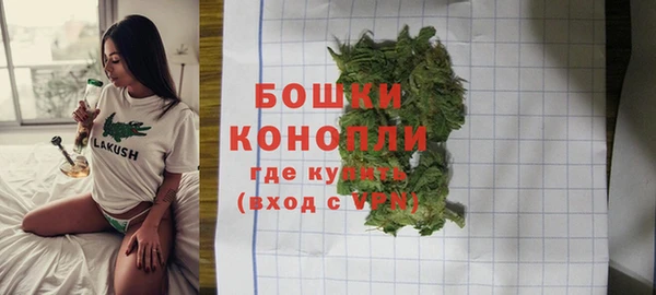 СК Билибино