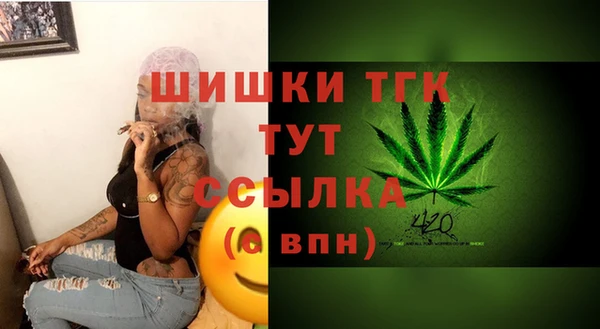 молекула духа Бугульма