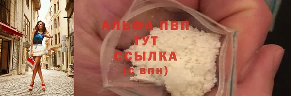стаф Бородино