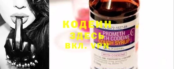 стаф Бородино