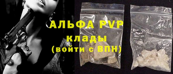 стаф Бородино