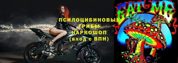 стаф Бородино