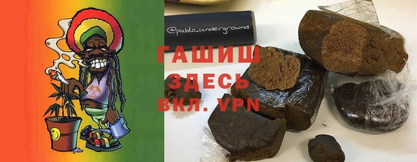 стаф Бородино