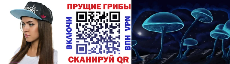 KRAKEN ONION  Гороховец  Галлюциногенные грибы Cubensis 